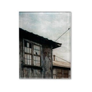 An example print of "Bird House (large)" on Acrylic.