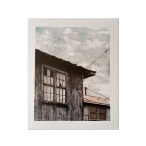 An example print of "Bird House (large)" on Watercolor Paper.